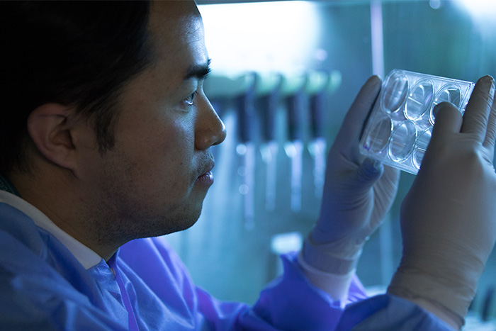麦克林的科学家在查看实验室设备